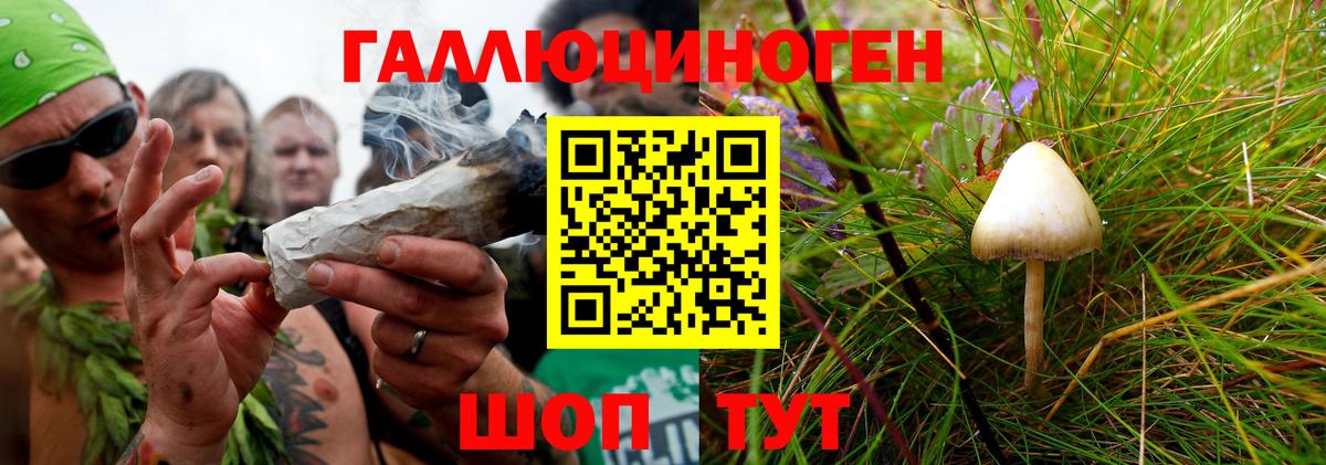 Псилоцибиновые грибы мухоморы Кызыл