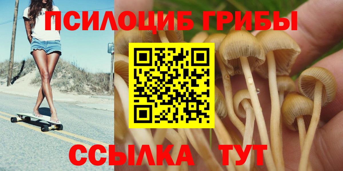 Галлюциногенные грибы Magic Shrooms  Вход с VPN  продажа наркотиков  Кызыл 