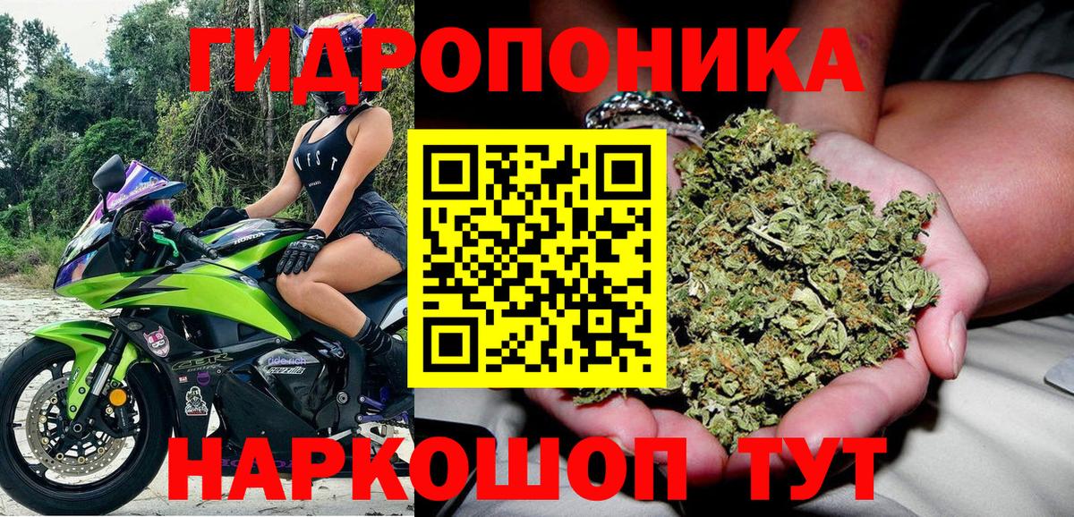 Бошки марихуана White Widow Кызыл